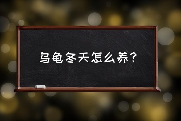 普通小乌龟冬天怎么养 乌龟冬天怎么养？