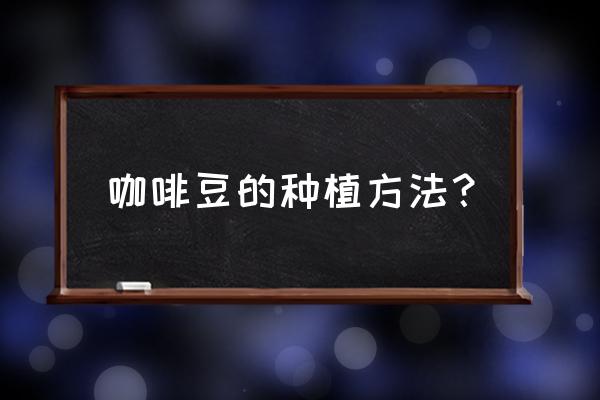 咖啡豆怎么种植出来的 咖啡豆的种植方法？