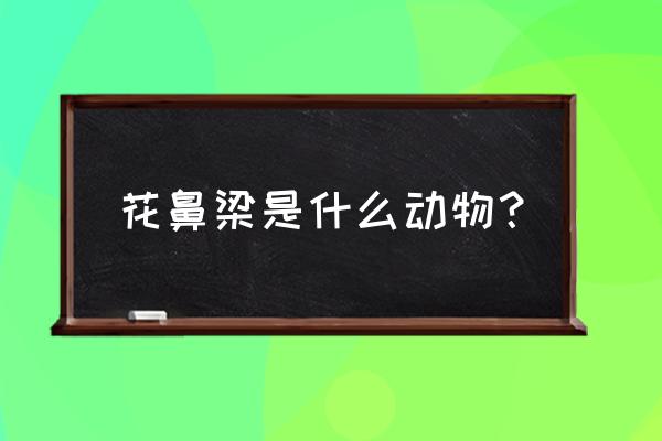 星鼻鼹鼠的简介 花鼻梁是什么动物？