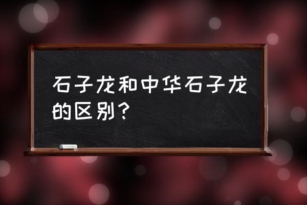 中华石龙子种类 石子龙和中华石子龙的区别？