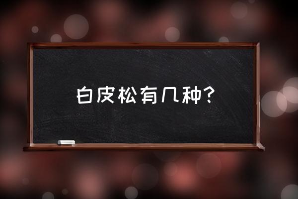 白皮松叶的特征 白皮松有几种？