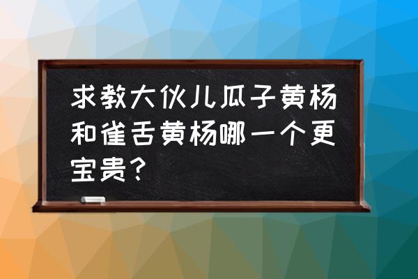 瓜子黄杨值钱吗 求教大伙儿瓜子黄杨和雀舌黄杨哪一个更宝贵？