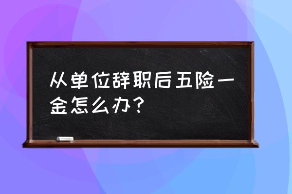 国企辞职后五险一金怎么办 从单位辞职后五险一金怎么办？