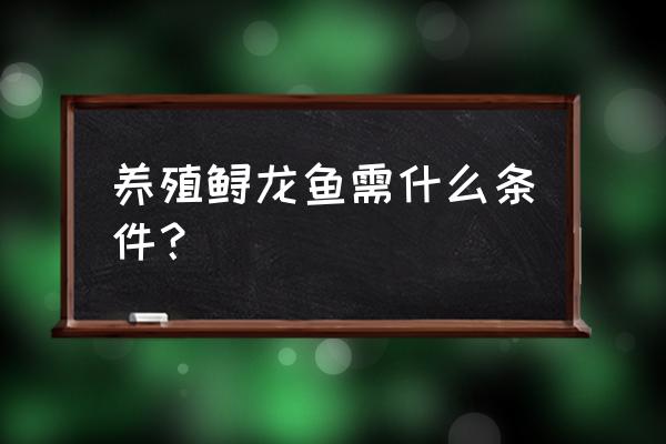 养鲟鱼的水质条件 养殖鲟龙鱼需什么条件？