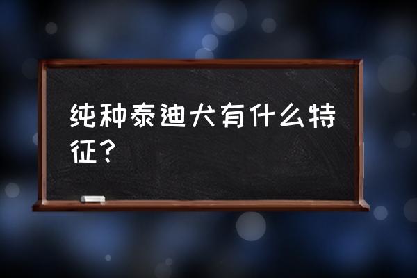 纯种泰迪特征有哪些 纯种泰迪犬有什么特征？