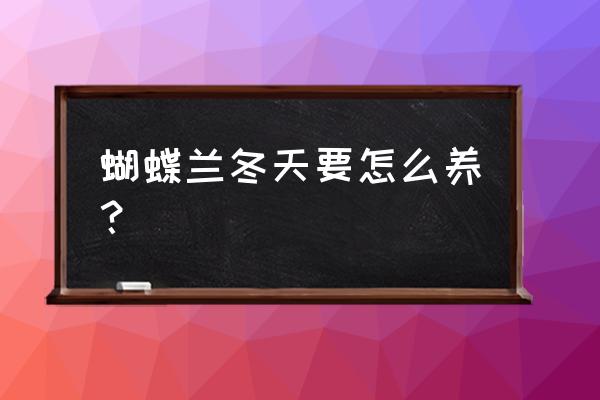 蝴蝶兰冬季养殖注意事项 蝴蝶兰冬天要怎么养？