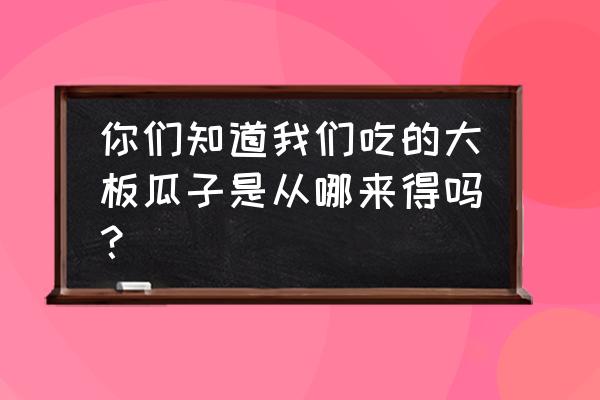 大板瓜子怎么来的 你们知道我们吃的大板瓜子是从哪来得吗？