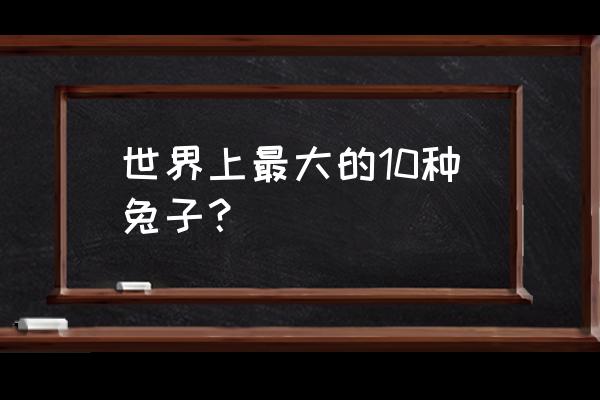 最大的兔子品种叫什么名字 世界上最大的10种兔子？