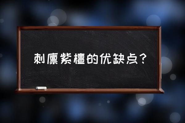 刺猬紫檀最大的缺点 刺猬紫檀的优缺点？