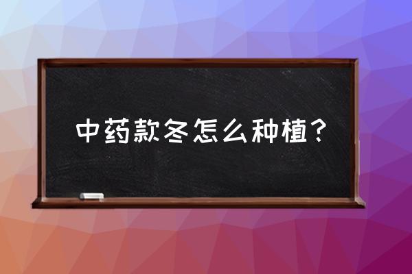 款冬花的功效与作用禁忌 中药款冬怎么种植？