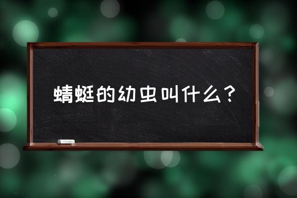 蜻蜓幼虫叫啥 蜻蜓的幼虫叫什么？