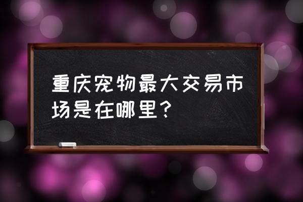 重庆大型宠物市场 重庆宠物最大交易市场是在哪里？