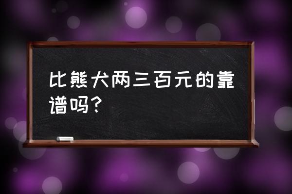 白色卷毛比熊犬多少钱一只 比熊犬两三百元的靠谱吗？