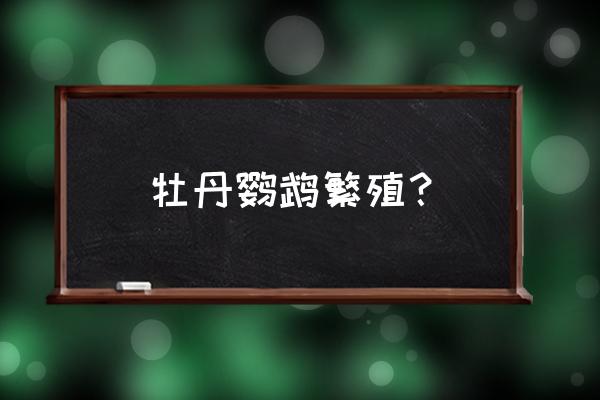 牡丹鹦鹉容易繁殖吗 牡丹鹦鹉繁殖？