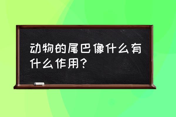 动物尾巴像什么和作用 动物的尾巴像什么有什么作用？