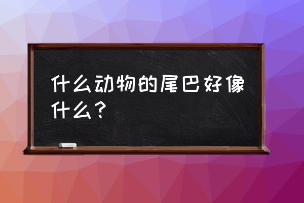 各种动物的尾巴像什么 什么动物的尾巴好像什么？