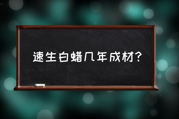 速生白蜡一年长几公分 速生白蜡几年成材？