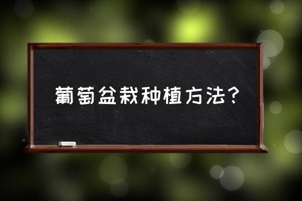 葡萄盆栽怎么种盆栽 葡萄盆栽种植方法？