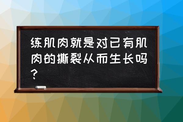 肌肉撕裂者是什么梗 练肌肉就是对已有肌肉的撕裂从而生长吗？