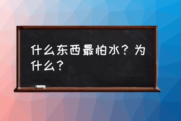 什么最怕水 什么东西最怕水？为什么？