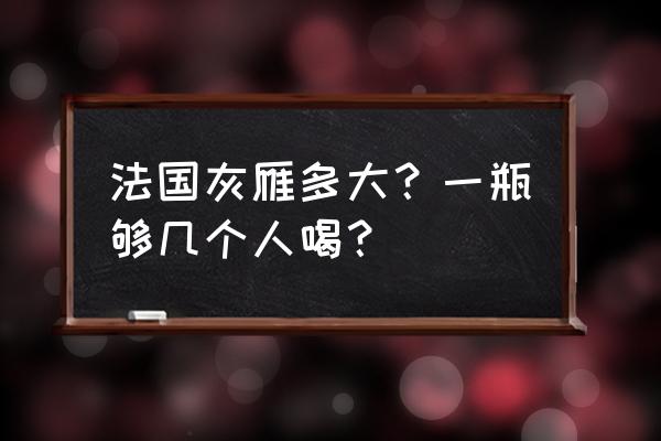 法国灰雁多少度 法国灰雁多大？一瓶够几个人喝？