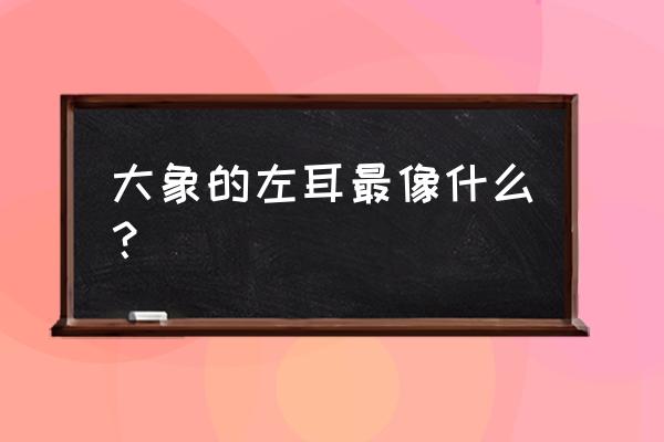 大象左耳像什么 大象的左耳最像什么？