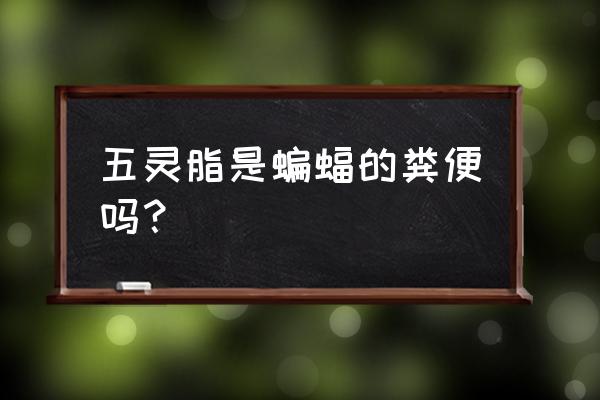 五灵脂的功效和禁忌 五灵脂是蝙蝠的粪便吗？