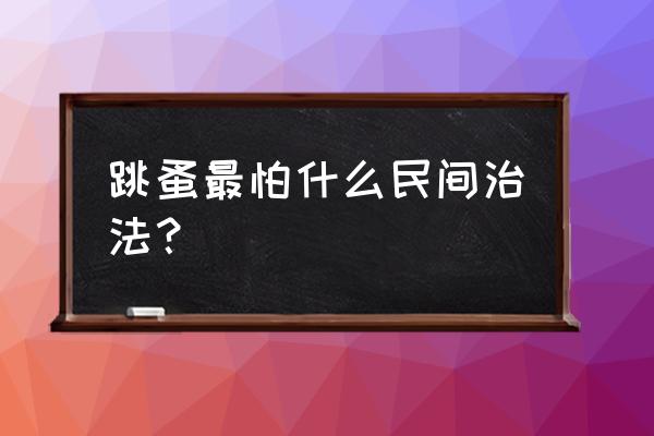 跳虱子最怕什么 跳蚤最怕什么民间治法？