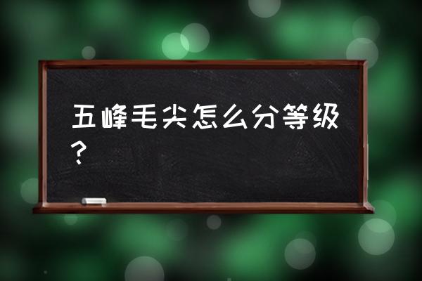 五峰毛尖档次如何 五峰毛尖怎么分等级？