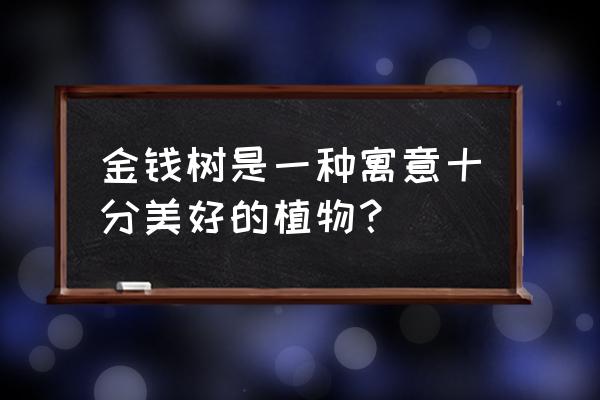 金钱树寓意 金钱树是一种寓意十分美好的植物？