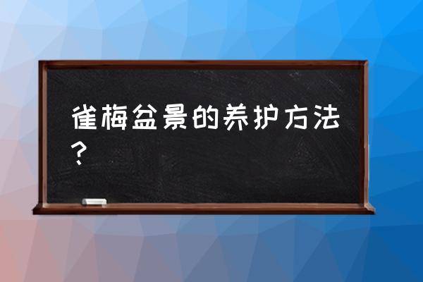 雀梅盆景寿命多长 雀梅盆景的养护方法？