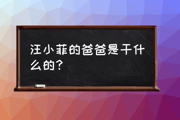 汪小菲爸爸是谁 汪小菲的爸爸是干什么的？