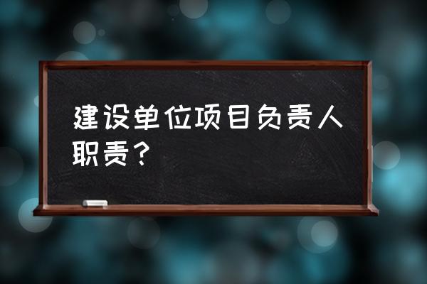 项目负责人的职务是什么 建设单位项目负责人职责？