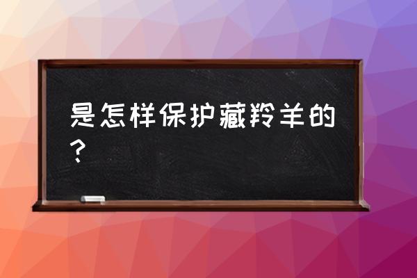 保护藏羚羊的方法 是怎样保护藏羚羊的？