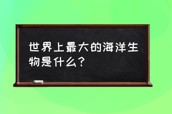 史上最大海洋生物 世界上最大的海洋生物是什么？