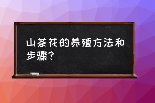 山茶花的养殖方法9种 山茶花的养殖方法和步骤？