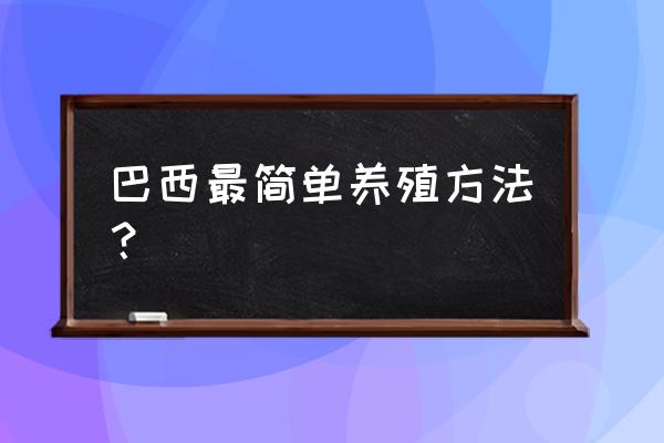 一般穷养巴西龟的饲养方法 巴西最简单养殖方法？