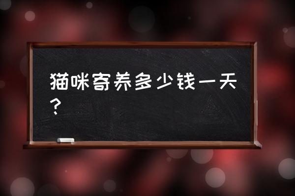 上海寄养宠物免费 猫咪寄养多少钱一天？