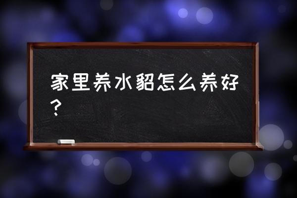 实用水貂养殖技术 家里养水貂怎么养好？