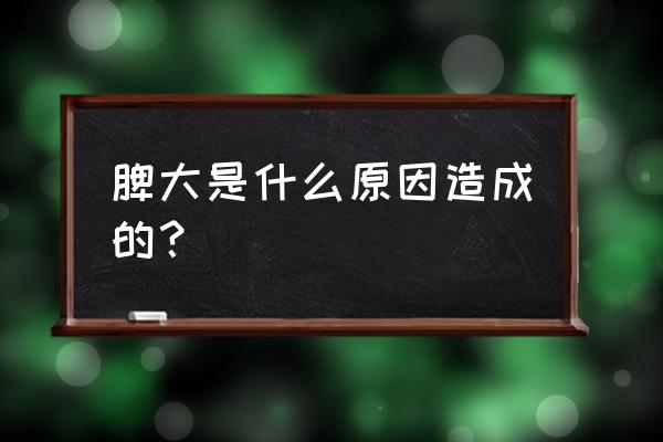 脾大的原因是什么引起的 脾大是什么原因造成的？