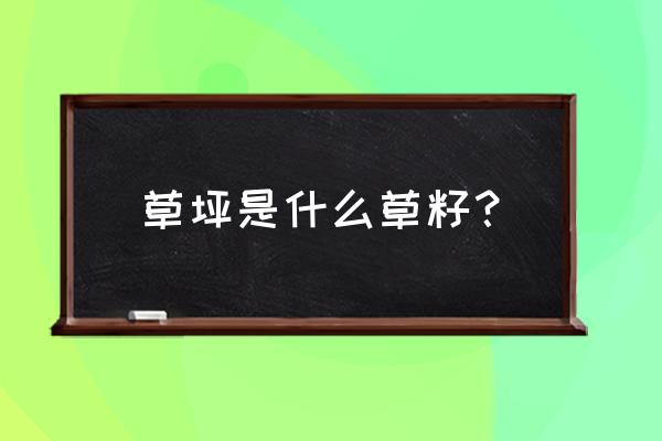 草坪一般用什么草 草坪是什么草籽？