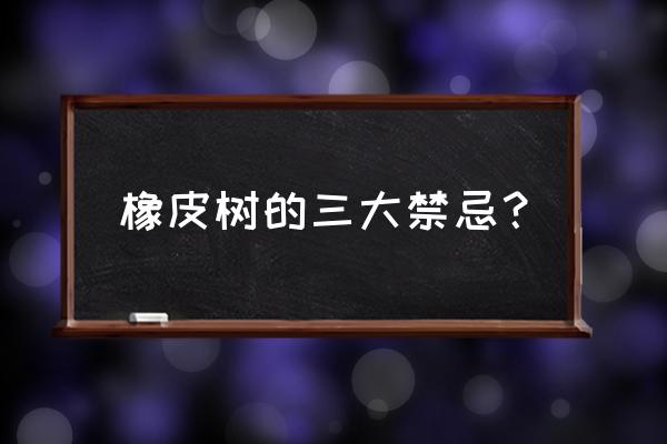 橡皮树的叶子有毒吗 橡皮树的三大禁忌？