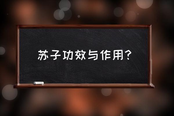 紫苏子有什么功效 苏子功效与作用？