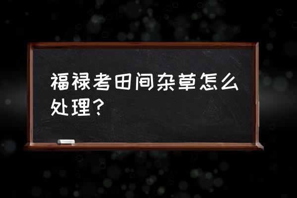 异形丛生怎么玩 福禄考田间杂草怎么处理？