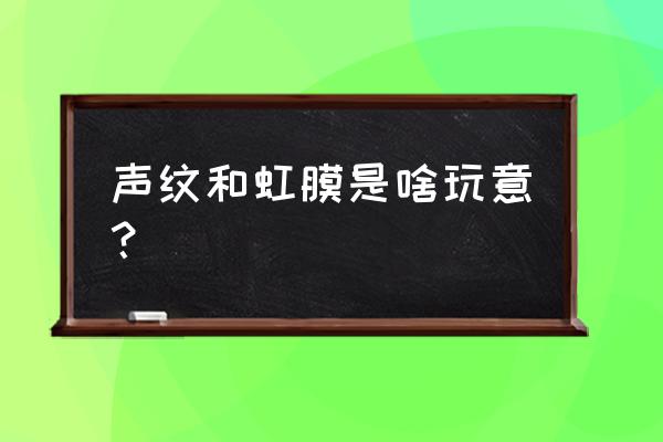 声纹识别技术 声纹和虹膜是啥玩意？