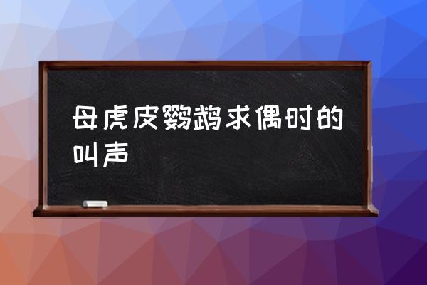 母虎皮鹦鹉的叫声 母虎皮鹦鹉求偶时的叫声