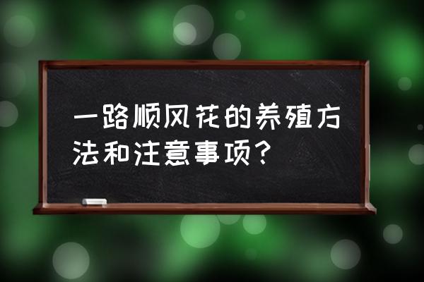 一帆风顺养殖方法与技巧 一路顺风花的养殖方法和注意事项？