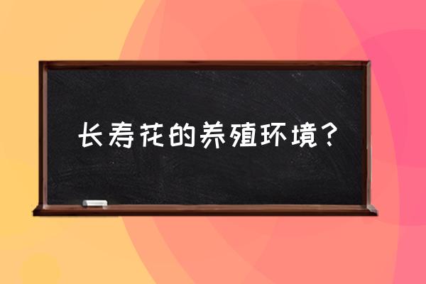 长寿花养殖环境 长寿花的养殖环境？