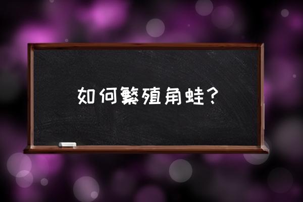 角蛙繁殖技术 如何繁殖角蛙？