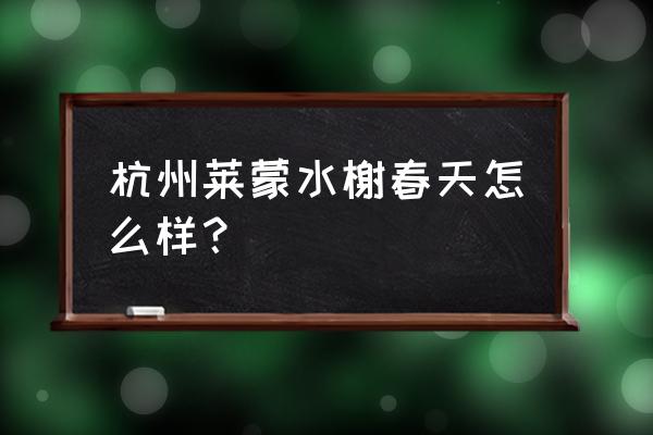 水榭春天一期 杭州莱蒙水榭春天怎么样？